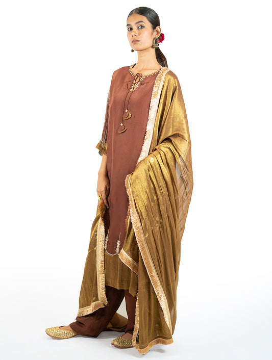 Brown Organza Kurta Set