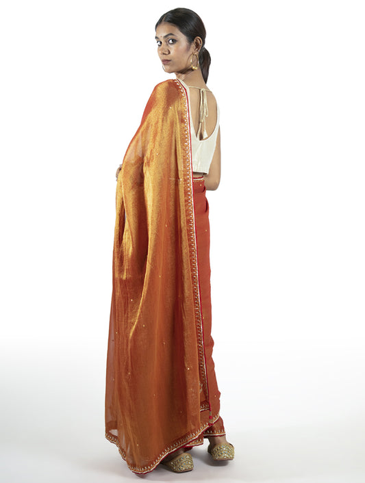 Orange Tissue Saree