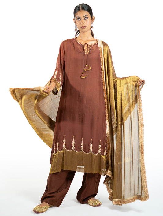 Brown Organza Kurta Set