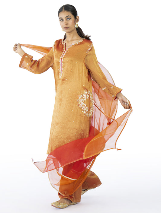 Red-Orange Organza Dupatta