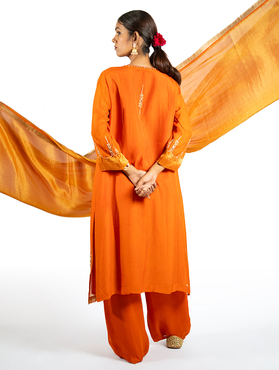 Orange Organza Kurta Set
