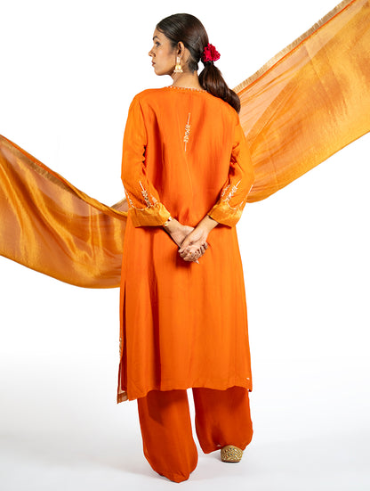 Orange Organza Kurta Set