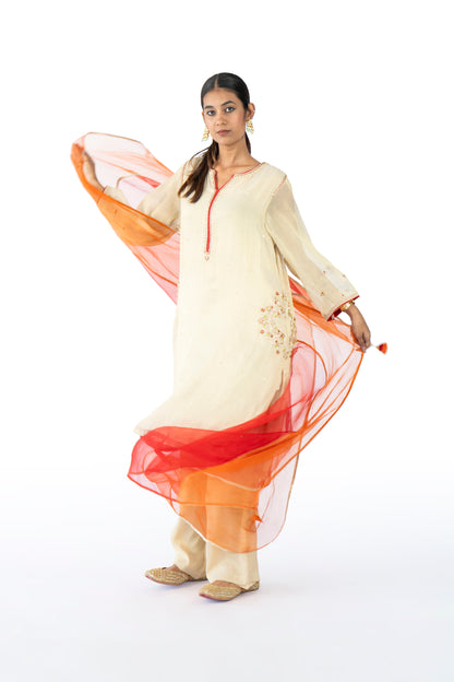 Brown Tissue Kurta Set
